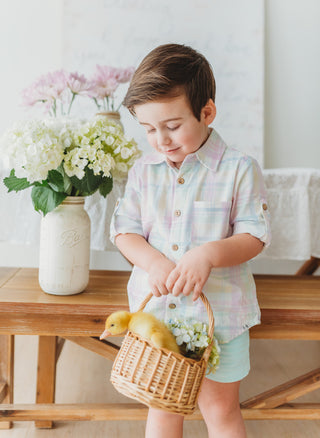 Child holding a basket with ducklings in a home setting