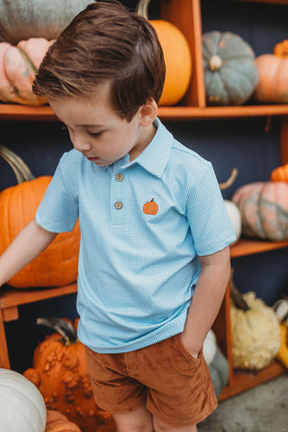 Gingham and Gourds Polo