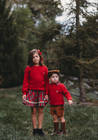 Red Teddy Sweater