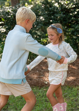 Bluebird Stripes Pullover