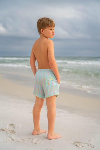 Boardwalk Striped Boy Shorts