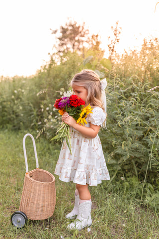 Boot Scootin' Josie Dress