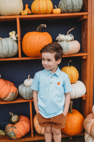 Gingham and Gourds Polo