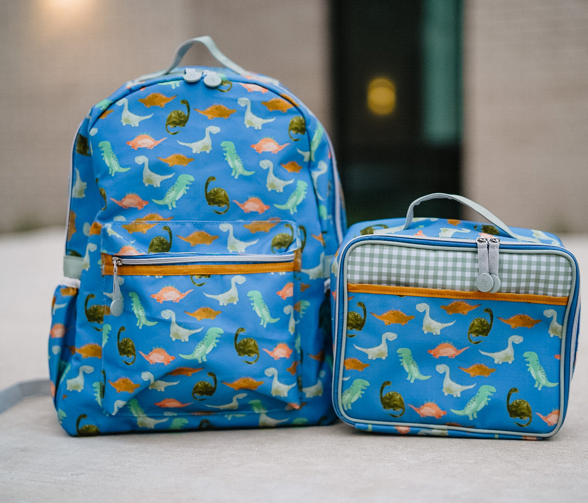 Dashing Dinosaur Lunchbox